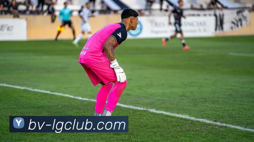 老哥俱乐部官网发展历程